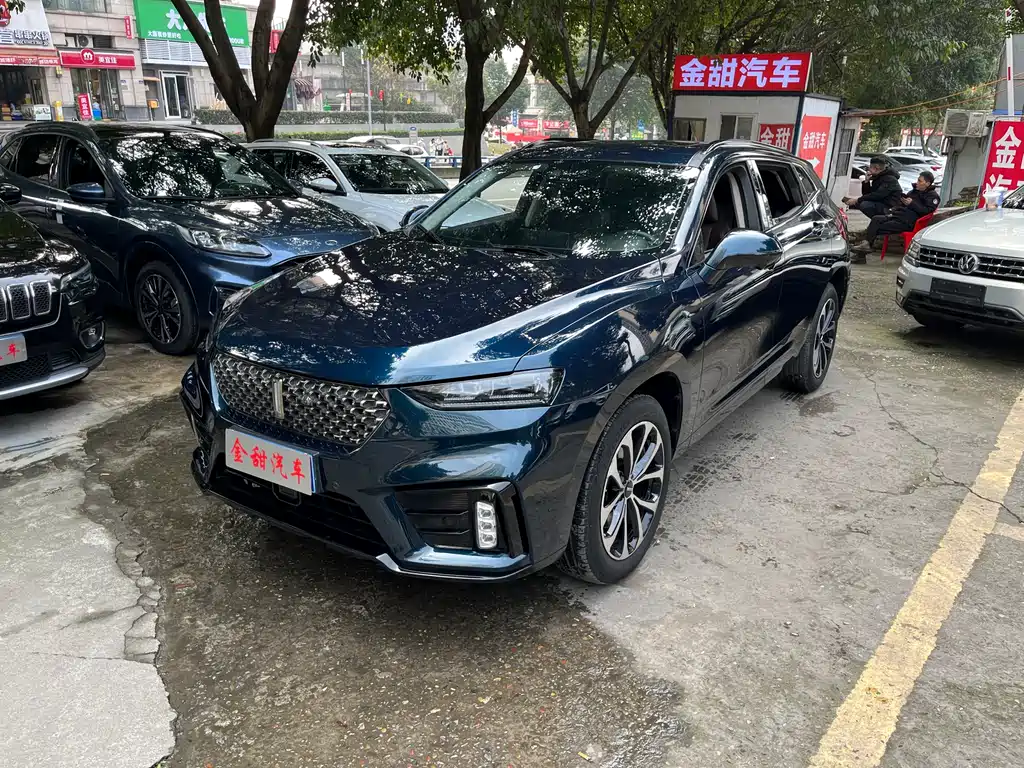 WEI PAI WEI BRAND VV7