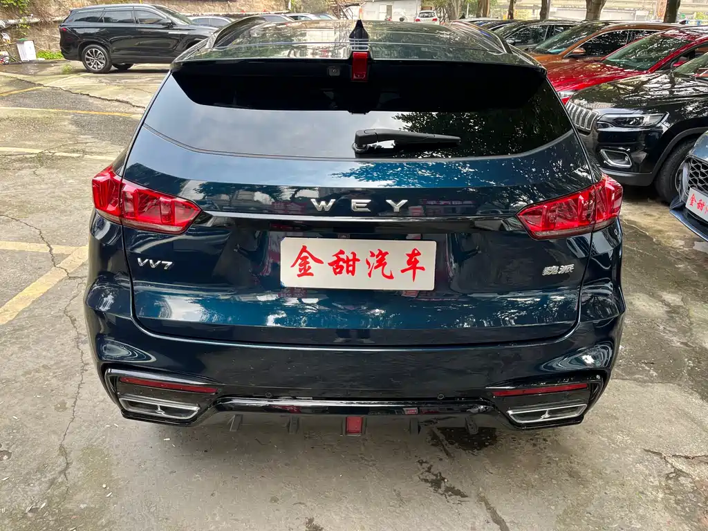 WEI PAI WEI BRAND VV7