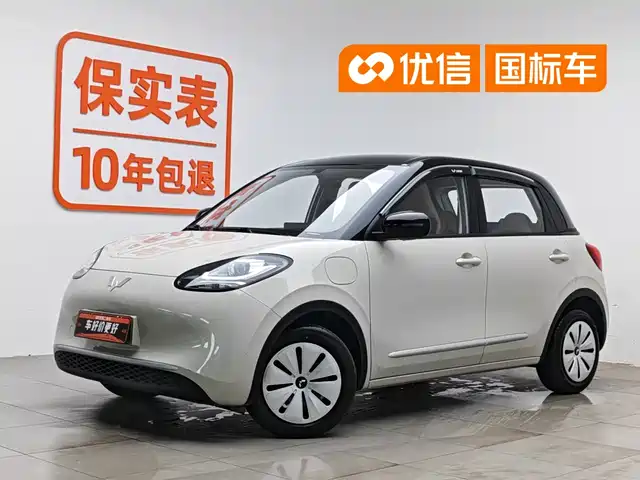 2025 Wuling Motors Binguo