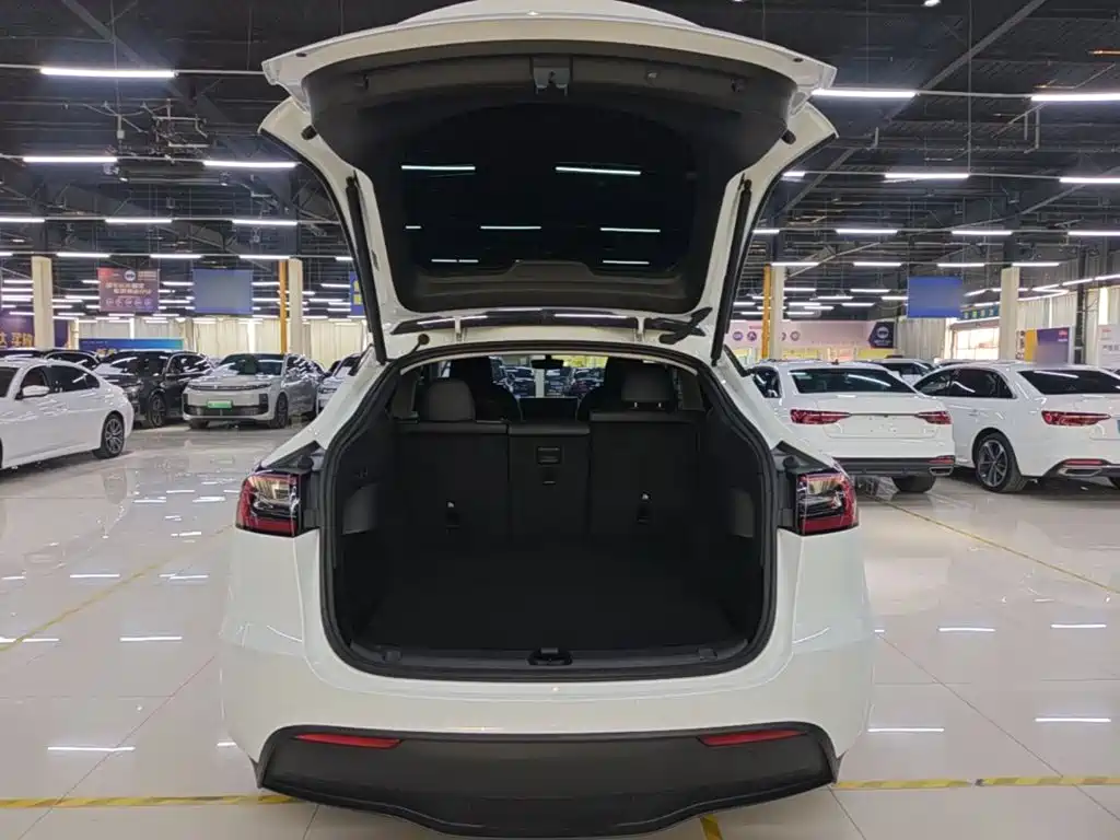 Tesla Model Y — миниатюра 18