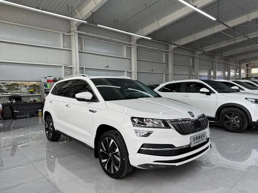 Skoda Karoq — миниатюра 3