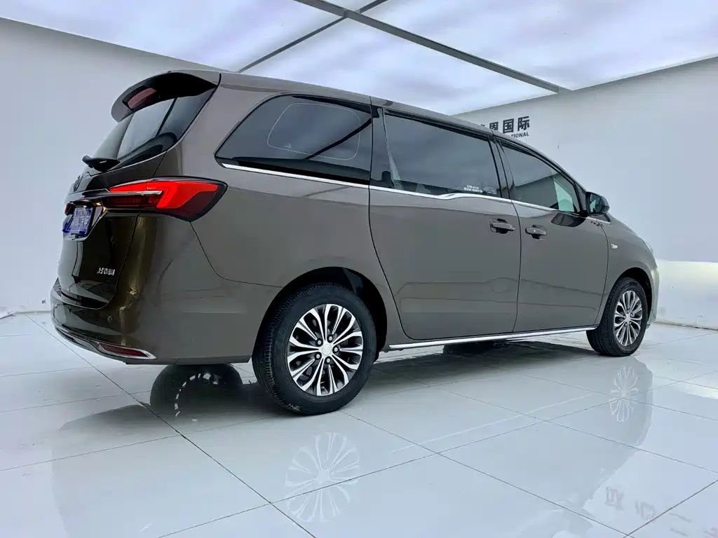 Buick GL8 — миниатюра 6