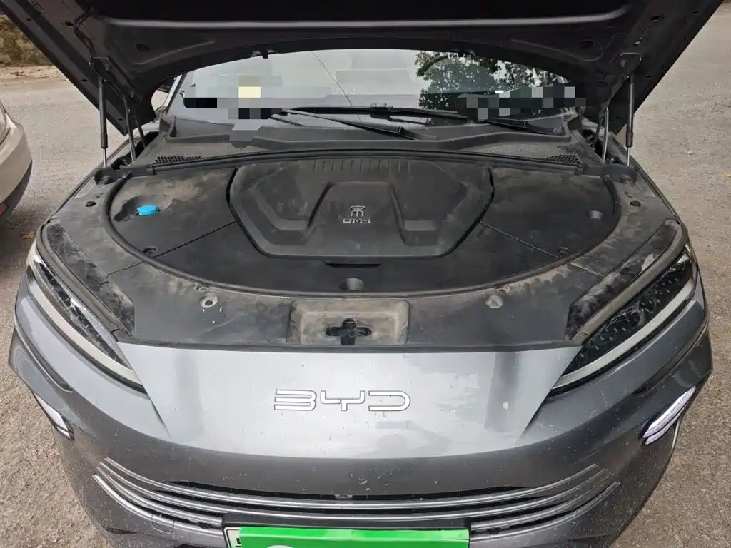 BYD PLUS New Energy — миниатюра 21