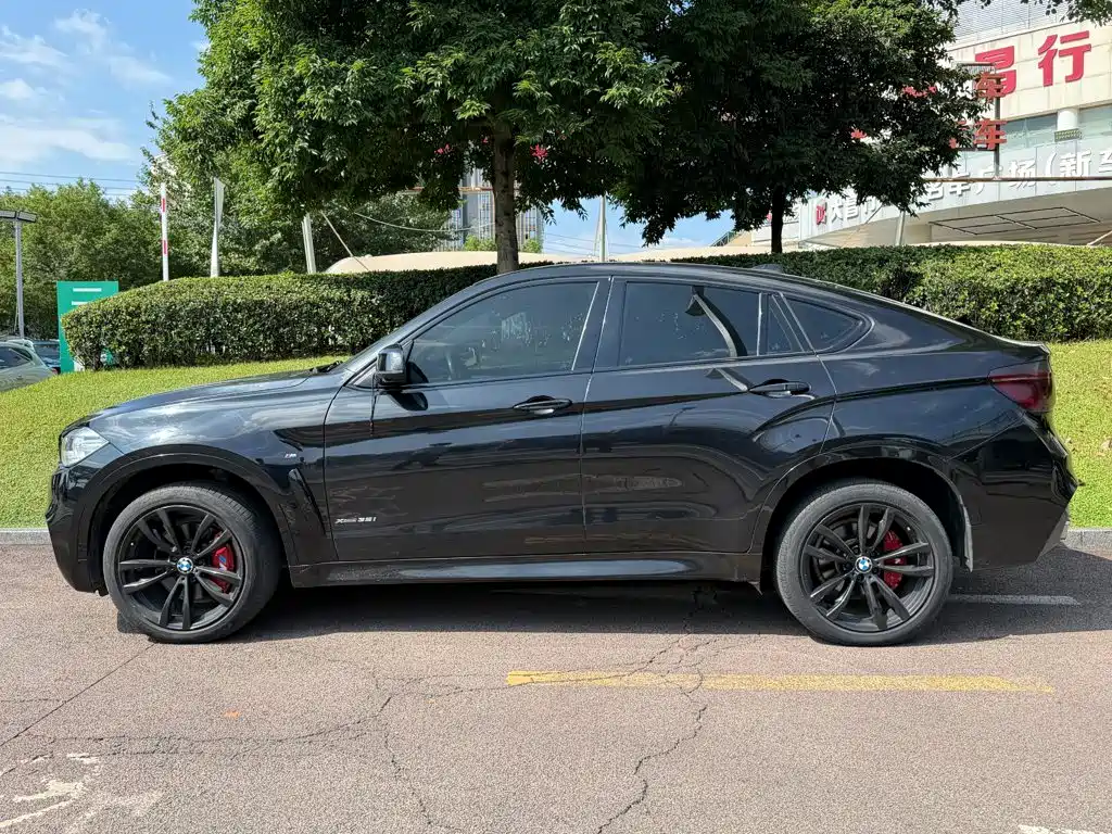 BMW X6 — миниатюра 3