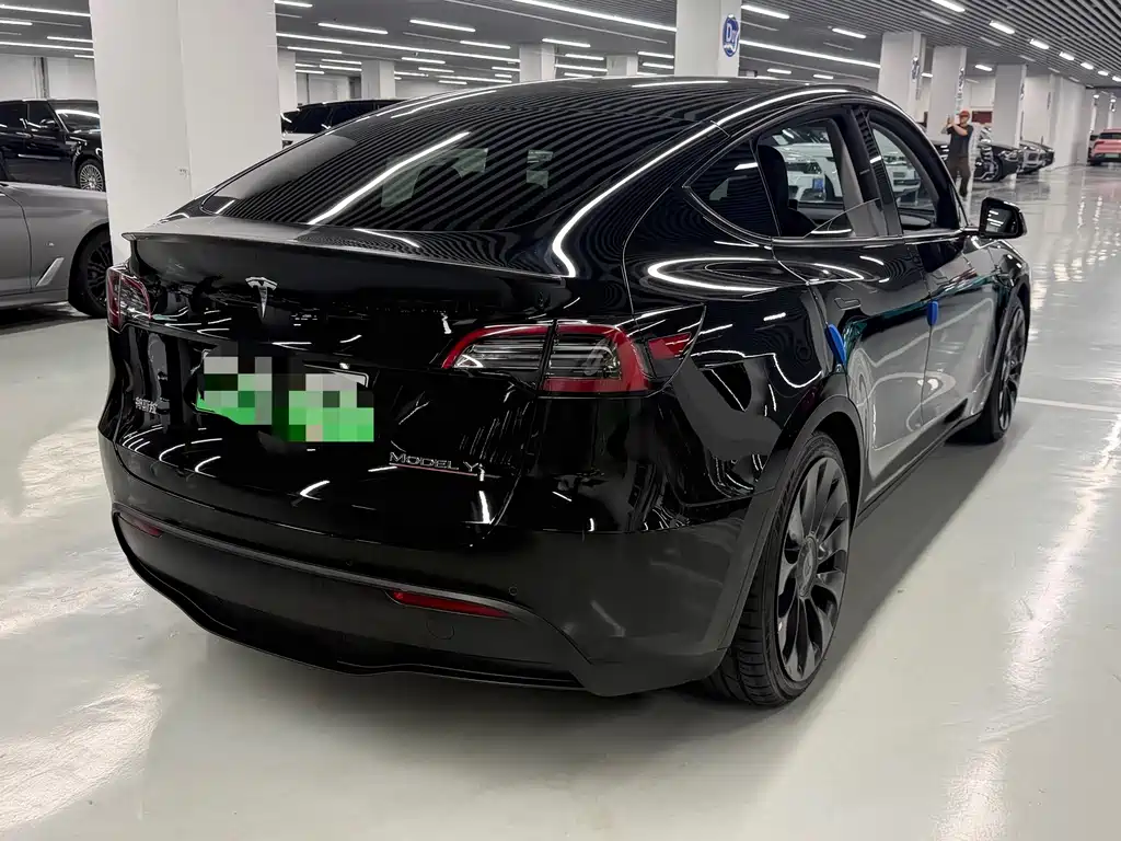 Tesla Model Y — миниатюра 9