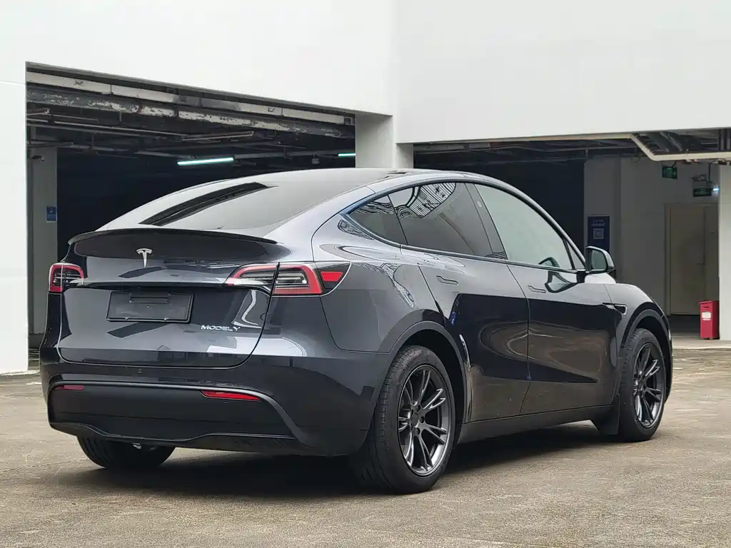 Tesla Model Y — миниатюра 13