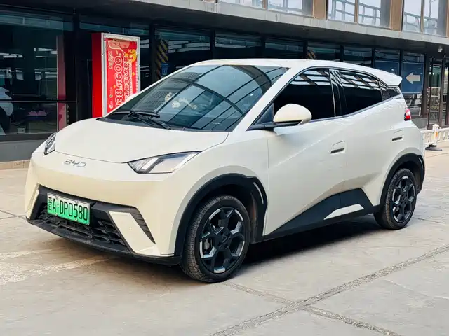 BYD SEAGULL 2024