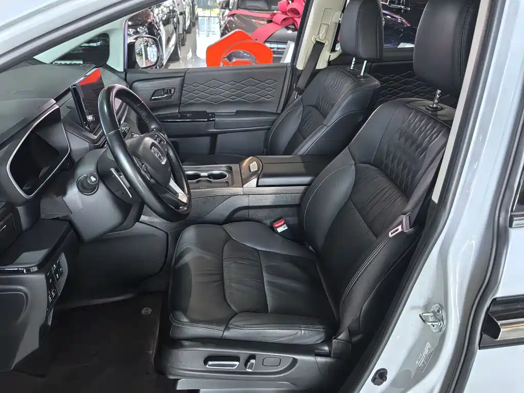 Honda Elysion — миниатюра 7