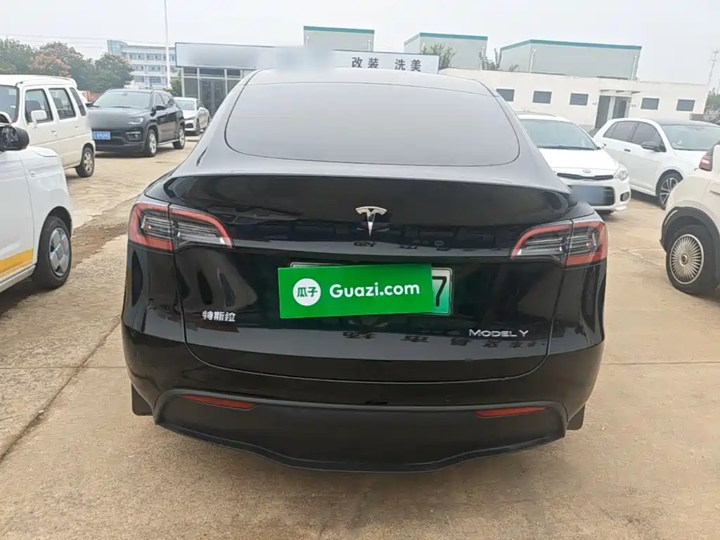 Tesla Model Y — миниатюра 6