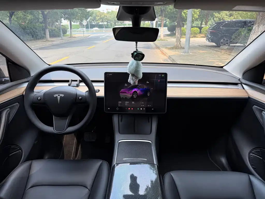 Tesla Model Y — миниатюра 11