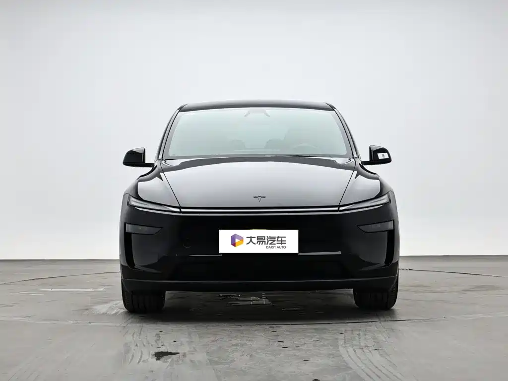 Tesla Model Y L — миниатюра 2