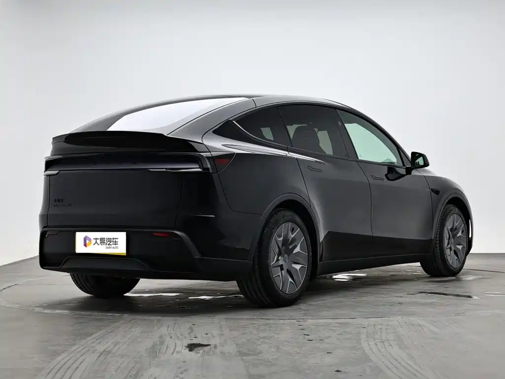 Tesla Model Y L — миниатюра 3