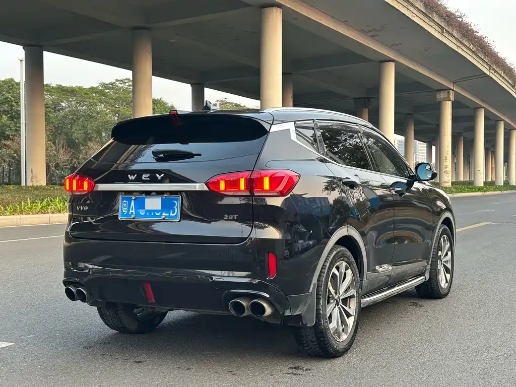 WEI PAI WEI BRAND VV6