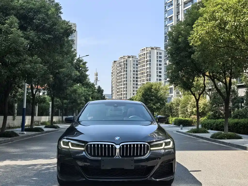 BMW 5 Series — миниатюра 2