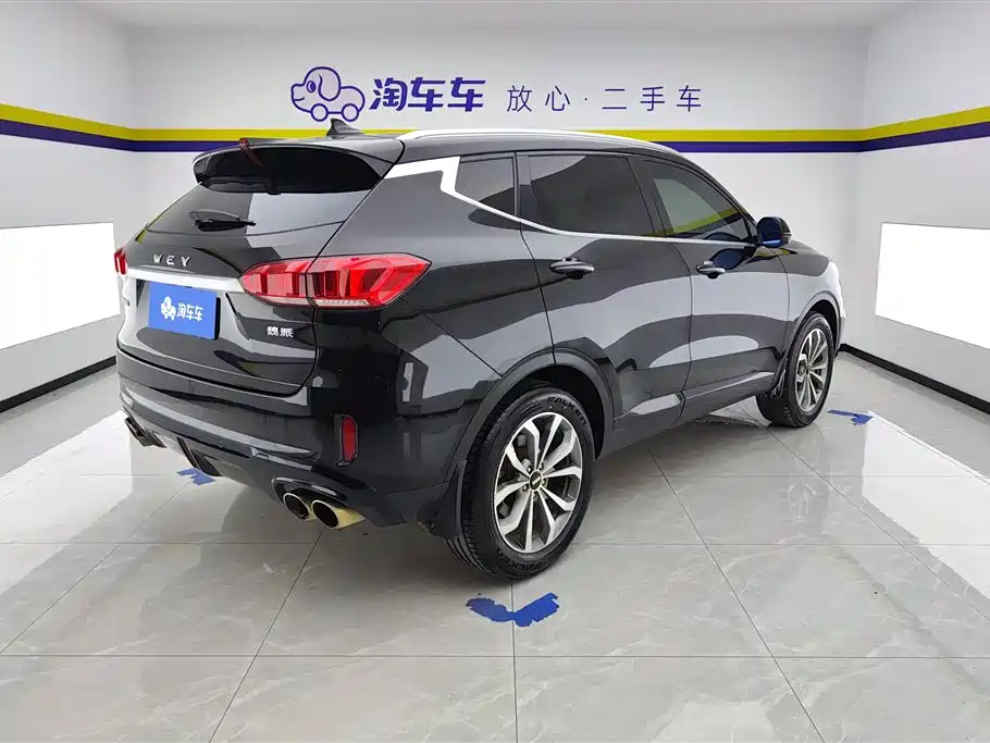 WEI PAI WEI BRAND VV6