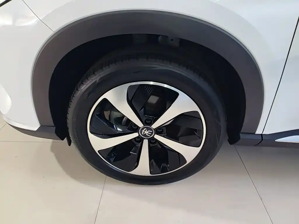 BYD PLUS New Energy — миниатюра 23