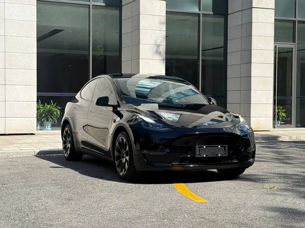 Tesla Model Y — миниатюра 3