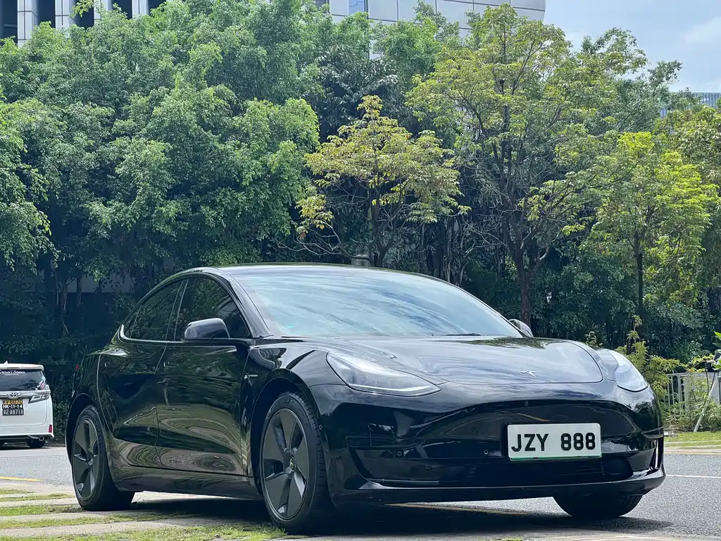 Tesla Model 3 — миниатюра 3