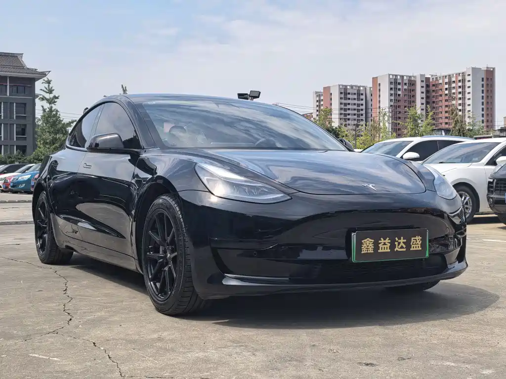 Tesla Model 3 — миниатюра 3
