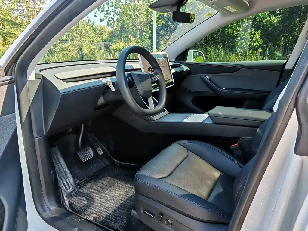 Tesla Model Y — миниатюра 4