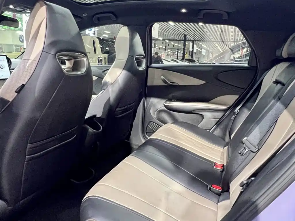 BYD Dolphin — миниатюра 17