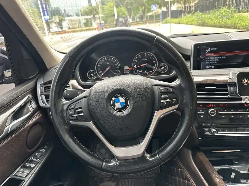 BMW X5 (Import) — миниатюра 14
