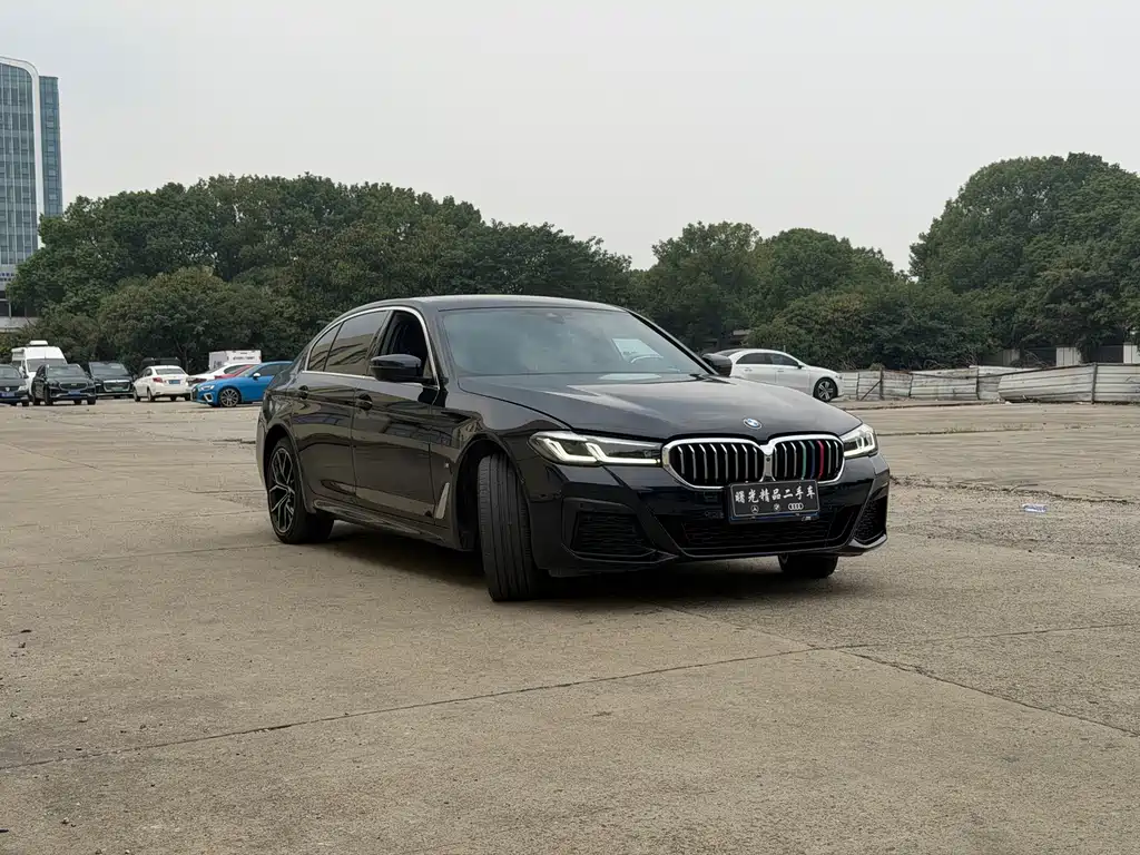 BMW 5 Series — миниатюра 5