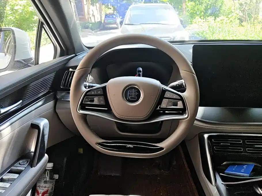 BYD Tang New Energy — миниатюра 15