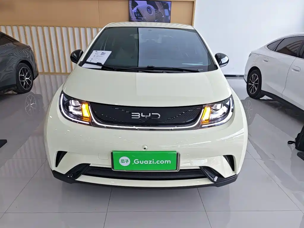 BYD Dolphin — миниатюра 3