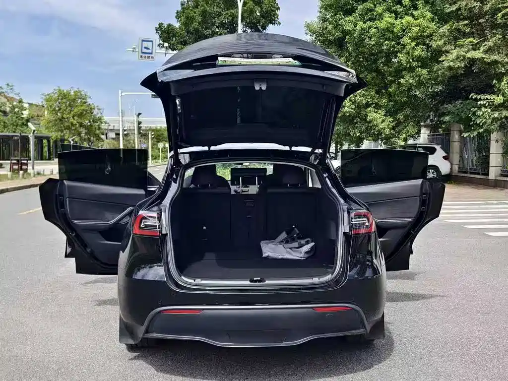 Tesla Model Y — миниатюра 7