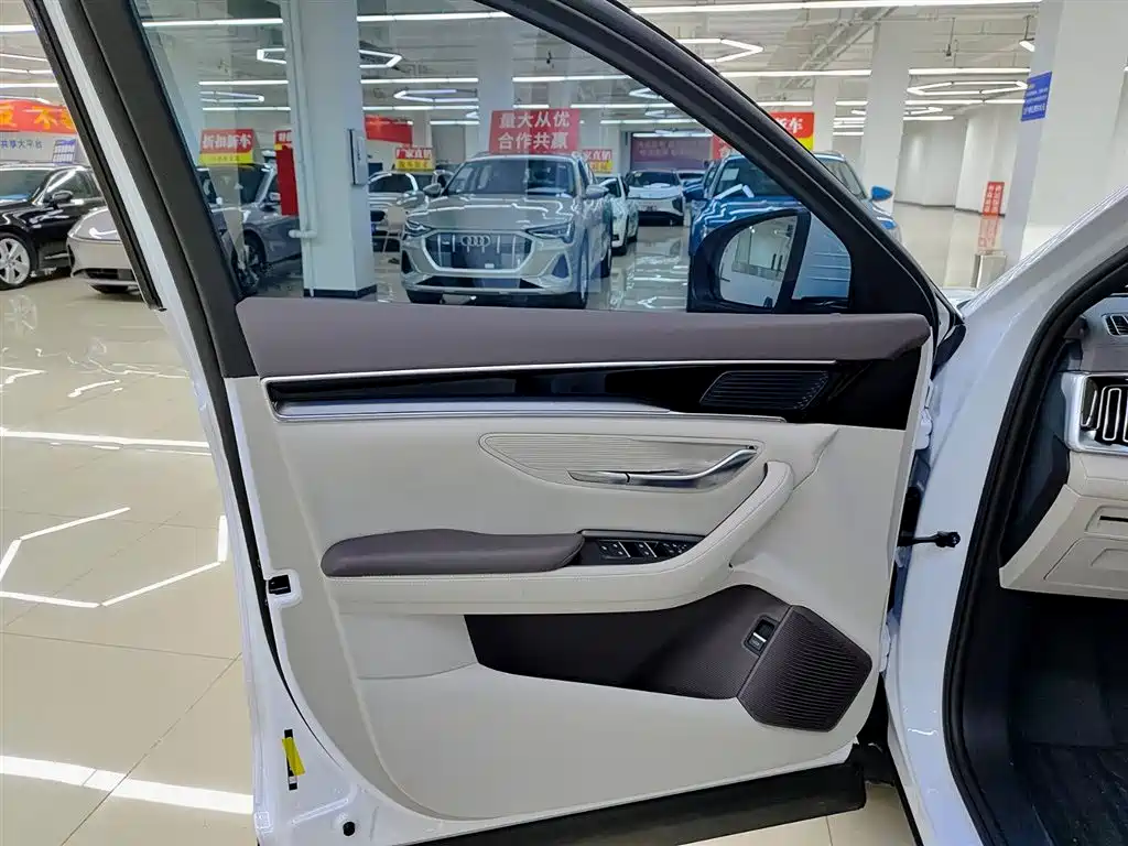 BYD SONGJIANG NEW ENERGY