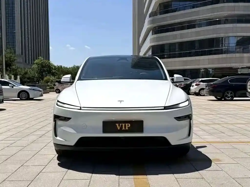 Tesla Model Y — миниатюра 2