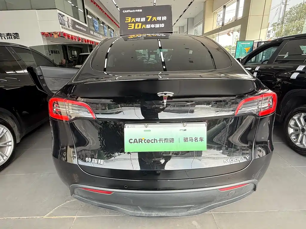 Tesla Model Y — миниатюра 6
