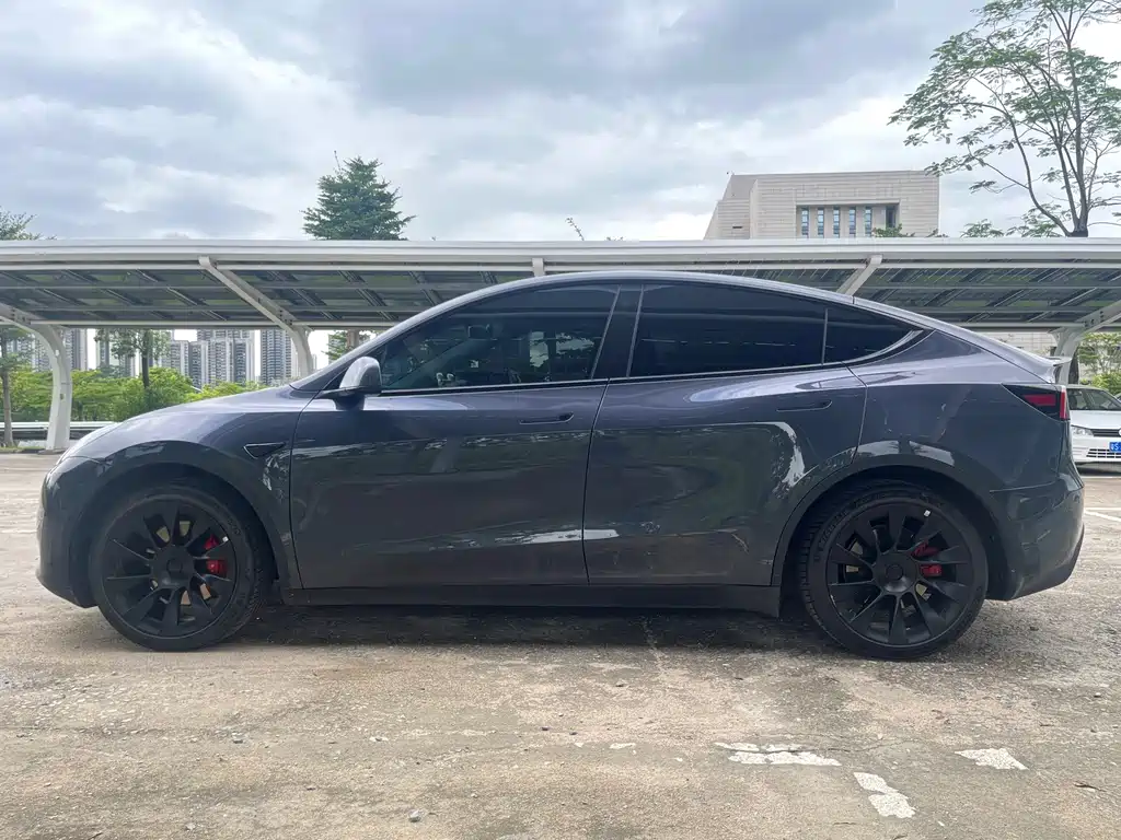 Tesla Model Y — миниатюра 8