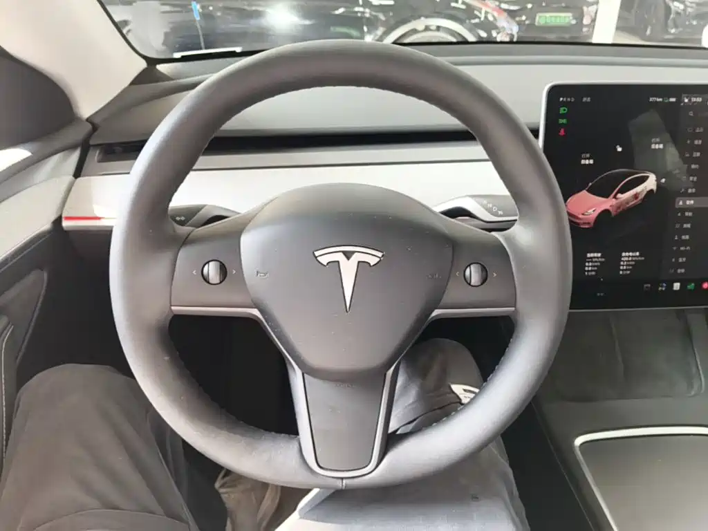 Tesla Model Y — миниатюра 11