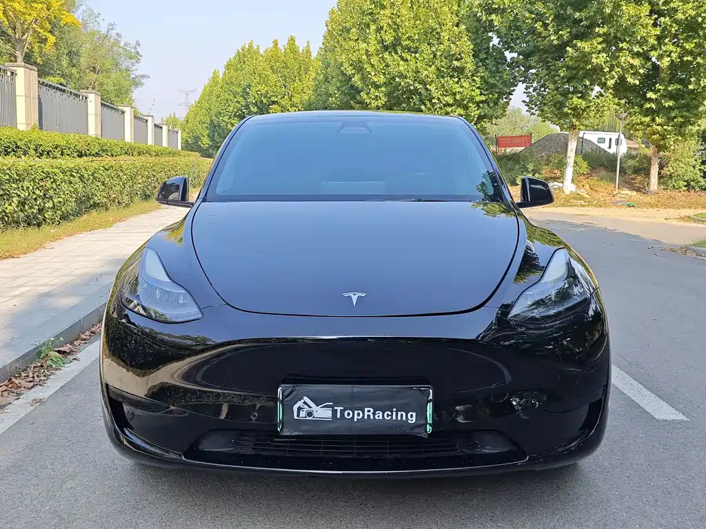 Tesla Model Y — миниатюра 2