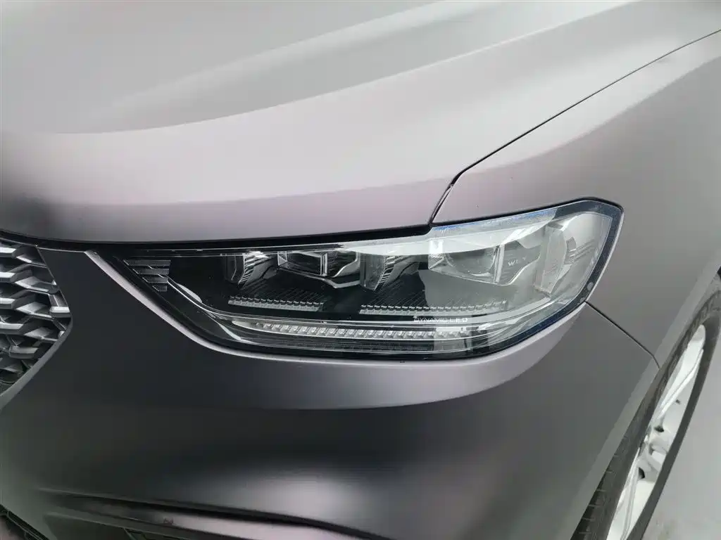 WEI PAI WEI BRAND VV5