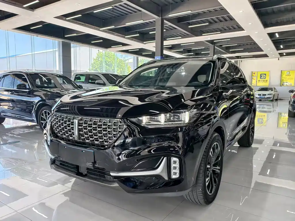 Купить Wey Wey VV6