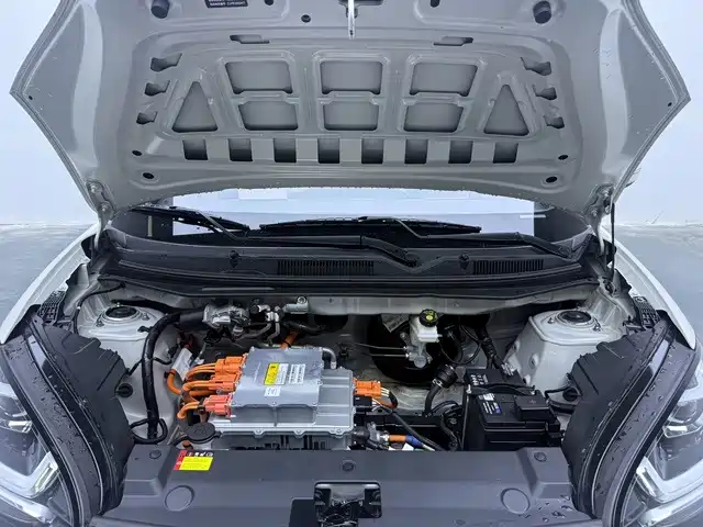 Wuling Bingo — миниатюра 11