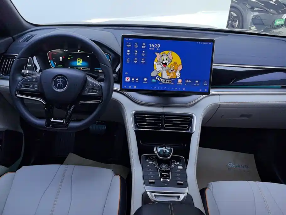 BYD PLUS New Energy — миниатюра 12