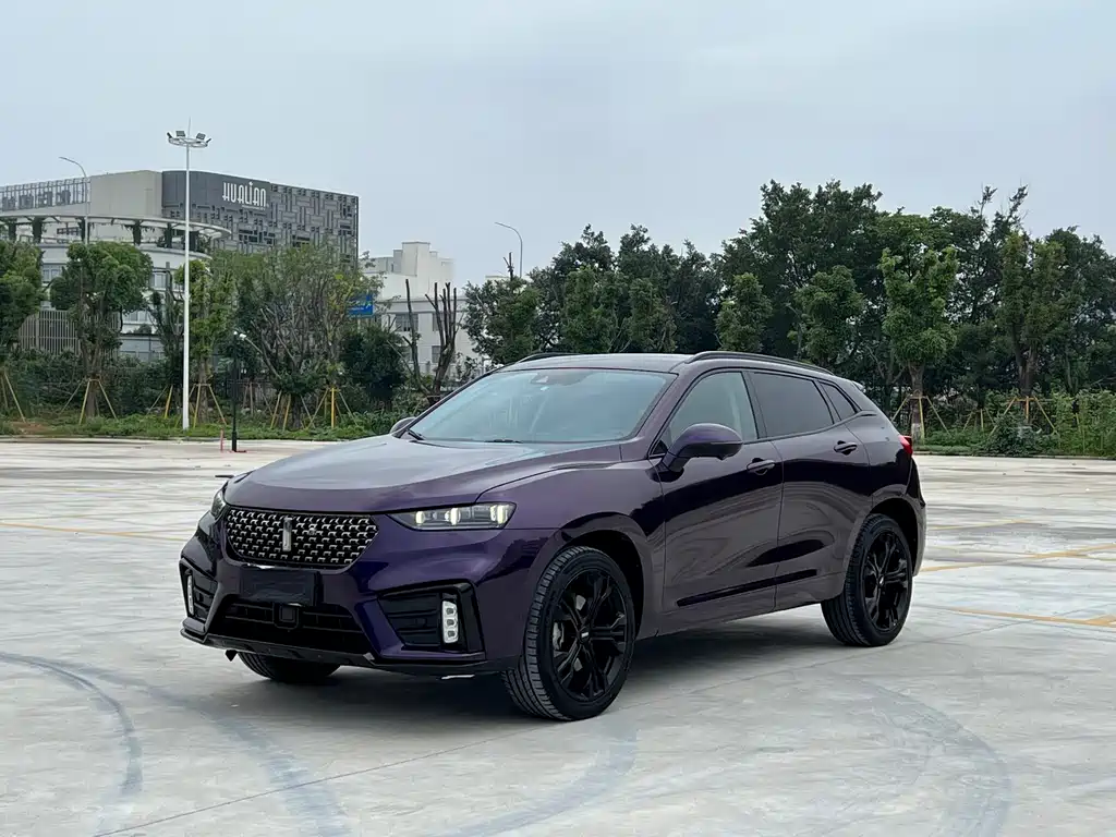Купить Wey Wey VV7