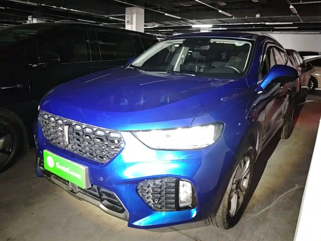 Купить Wey Wey VV5