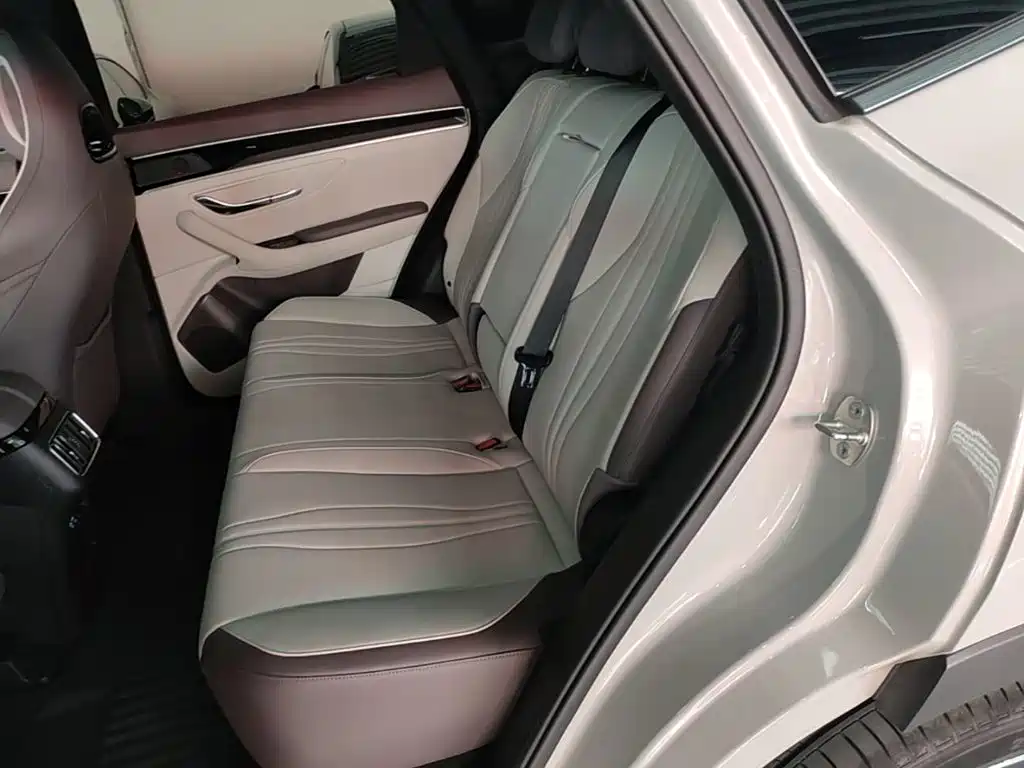 BYD PLUS New Energy — миниатюра 17