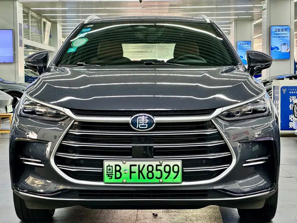 BYD Tang New Energy — миниатюра 2
