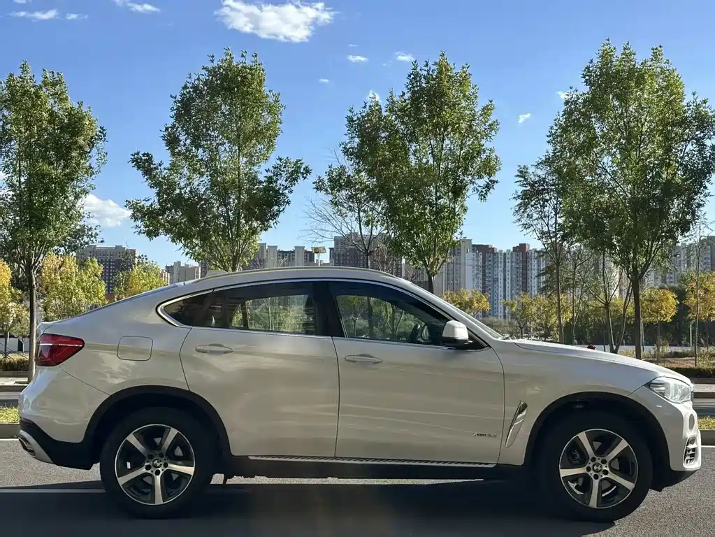 BMW X6 — миниатюра 5