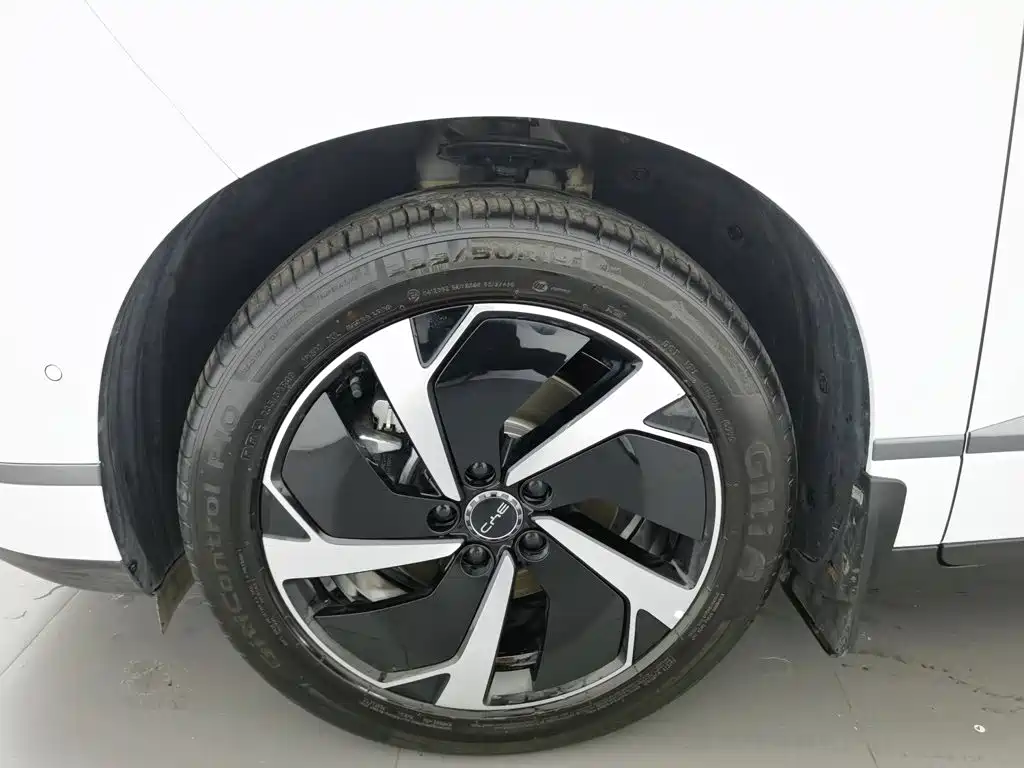 BYD Sealion 06 — миниатюра 17