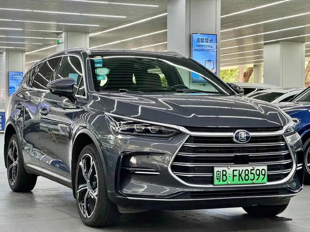 BYD Tang New Energy — миниатюра 3