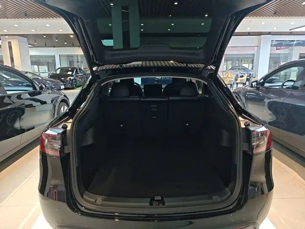 Tesla Model Y — миниатюра 19