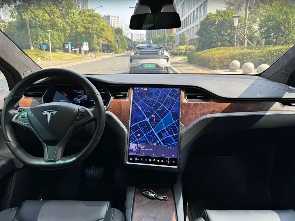 Tesla Model X — миниатюра 10
