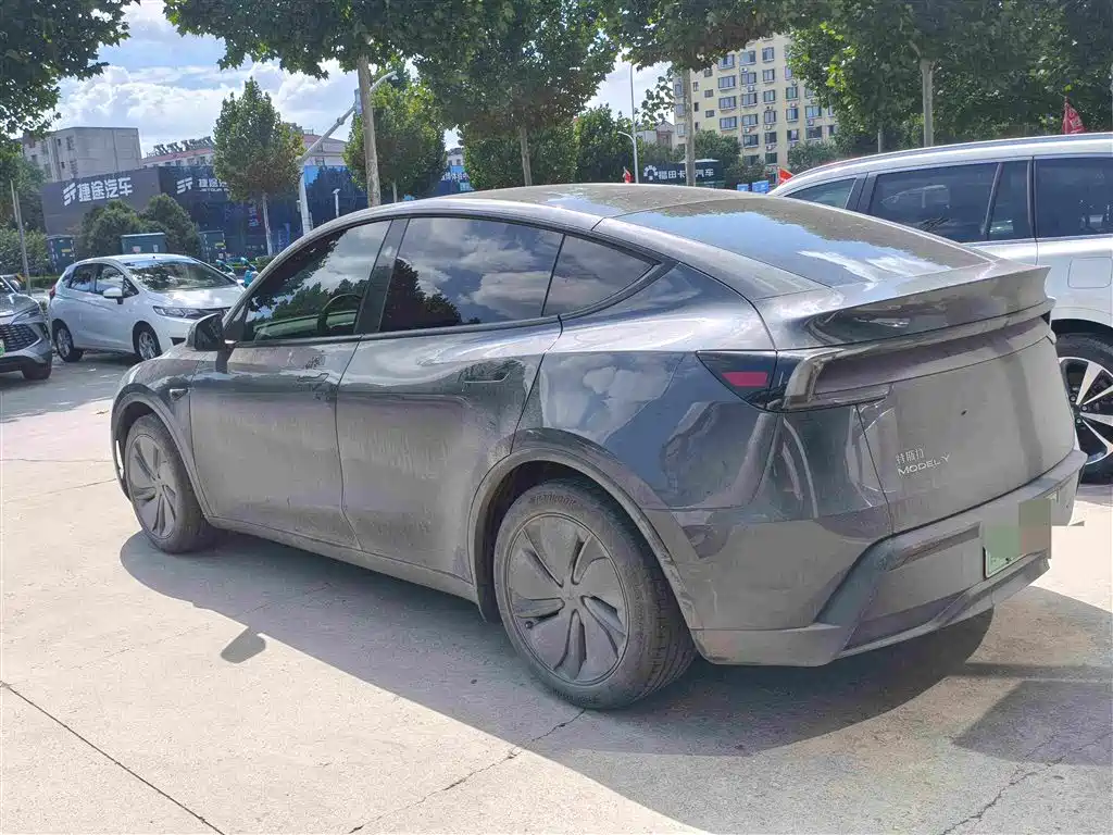 Tesla Model Y — миниатюра 4